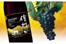 信州55SPECIAL 塩尻マスカット・ベーリーA2019 | 飲料 お酒 アルコール ワイン 赤 マスカット・ベーリーA ミズナラ樽 長野県 塩尻市