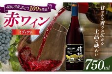 信州55SPECIAL 塩尻マスカット・ベーリーA2019 | 飲料 お酒 アルコール ワイン 赤 マスカット・ベーリーA ミズナラ樽 長野県 塩尻市