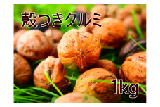 2022年産 殻つきクルミ 1kg 農薬・化学肥料不使用