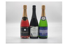 塩尻産スパークリングワイン 3本セットA