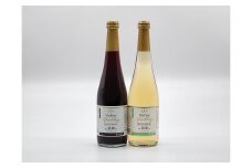 ノンアルコールワイン VinFreeスパークリング 2本セット
