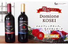 ドメーヌコーセイ メルロ フレンチオーク&アメリカンオーク 2本セット | お酒 酒 おさけ ワイン おすすめ 2本セット 長野県 塩尻市
