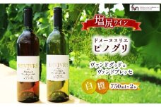 ドメーヌスリエ ピノグリ ヴァンドグッド&ヴァンドプレッセ 2本セット | お酒 酒 おさけ ワイン 肉料理に合う 2本セット 長野県 塩尻市