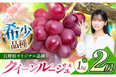 【2025年 先行予約】【9月中旬頃～発送予定】 クイーンルージュ® 2房 | 果物 くだもの フルーツ 葡萄 ぶどう ブドウ 長野県 塩尻市