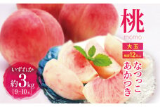 【先行受付】【8月上旬頃～発送】 桃 約3kg （ 9 ～ 10 玉 ） | 果物 くだもの フルーツ 桃 モモ もも 長野県 塩尻市