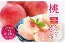 【先行受付】【8月上旬頃～発送】 桃 約3kg （ 9 ～ 10 玉 ） | 果物 くだもの フルーツ 桃 モモ もも 長野県 塩尻市
