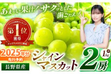 《フルーツランキング1位》【先行予約】寄附金額改定しました！絶品！シャインマスカット 2房【9月中旬頃～発送予定】 | シャイン ぶどう 葡萄 ブドウ くだもの 果物 フルーツ マスカット しゃいん ますかっと 先行 先行予約 旬 塩尻市 長野 信州