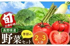おまかせ野菜セット 2～3人分 約 5kg | 野菜 やさい 旬 の 野菜 おまかせセット 長野県 塩尻市