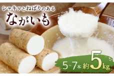 【春掘り】 ながいも 約 5kg | 春掘り 野菜 やさい やまいも 長芋 ながいも とろろ 長野県 塩尻市