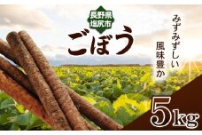 ごぼう 約 5kg | 野菜 やさい 根菜 ごぼう ゴボウ 長野県 塩尻市