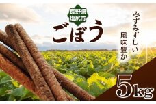 ごぼう 約 5kg | 野菜 やさい 根菜 ごぼう ゴボウ 健康 食物繊維 長野県 塩尻市