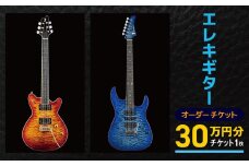 エレキギター オーダーチケット 30万円分 | オーダー チケット 楽器 ギター エレキ ギター 長野県 塩尻市