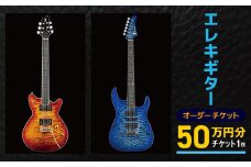 エレキギター オーダーチケット 50万円分 | オーダー チケット 楽器 ギター エレキ ギター 長野県 塩尻市