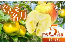 【先行予約】《寄附金額改定しました！》信州産 絶品りんご！果汁たっぷり ぐんま名月 約5kg（ 16 ~ 18 玉）【10月中旬頃～発送予定】| 果物 くだもの フルーツ 林檎 りんご リンゴ ぐんま名月 果実 アップル 長野県 塩尻市