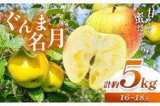 【先行予約】《寄附金額改定しました！》信州産 塩尻エールりんご！果汁たっぷり ぐんま名月 約5kg（ 16 ~ 18 玉）【10月中旬頃～発送予定】| 果物 くだもの フルーツ 林檎 りんご リンゴ ぐんま名月 果実 アップル 長野県 塩尻市