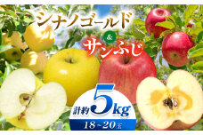 【先行受付】【10月下旬頃～発送予定】信州りんご 満喫セット（サンふじ・シナノゴールド）約5kg （ 18 ～ 20 玉 ） | 果物 くだもの フルーツ サンふじ シナノゴールド 林檎 りんご リンゴ 長野県 塩尻市