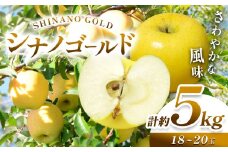 【先行予約】《寄附金額改定しました！》信州産 長野生まれの黄色りんご！さわやかな風味 シナノゴールド 約5kg（18～20玉）【10月下旬頃～発送予定】| 果物 くだもの フルーツ 林檎 りんご リンゴ シナノゴールド 長野県 塩尻市