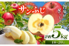 【先行予約】《寄附金額改定しました！》信州産 絶品りんご！国内生産1位 サンふじ 約5kg （18～20玉）【11月中旬頃～発送予定】| 果物 くだもの フルーツ 林檎 りんご リンゴ サンふじ 長野県 塩尻市