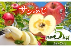 【先行予約】《寄附金額改定しました！》信州産 塩尻エールりんご！国内生産1位 サンふじ 約5kg （18～20玉）【11月中旬頃～発送予定】| 果物 くだもの フルーツ 林檎 りんご リンゴ サンふじ 長野県 塩尻市