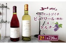五一わいん エステートゴイチピノノワール（樽熟）&ケルナー 2本セット | ワイン わいん 赤ワイン 白ワイン お酒 おさけ 酒 さけ 塩尻市 長野県 信州 