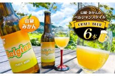 クラフトビール6本　山椒・みかんで醸造したベルジャンスタイルビール | お酒 酒 おさけ クラフト ビール くらふと びーる さんしょう 山椒 みかん ミカン 蜜柑 長野県 塩尻市