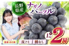 【先行予約】【９月上旬頃～発送予定】 ナガノパープル（2房） | 果物 くだもの フルーツ 葡萄 ぶどう ブドウ ナガノ パープル 長野県 塩尻市
