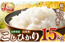 信州米 こしひかり 白米 15kg 長野県産 | 米 コシヒカリ 白米 精米 お米 信州米 15kg 特産品 塩尻市 長野県 信州 