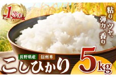 信州米 こしひかり 白米 5kg 長野県産 | 米 コシヒカリ 白米 精米 お米 信州米 5kg 特産品 塩尻市 長野県 信州 
