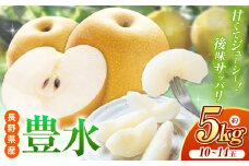 【先行予約】《寄附金額改定しました！》ジューシーで上品な甘さ！長野県産 豊水 約5kg （ 10 ～ 14 玉 ）【9月中旬頃～発送予定】| 果物 くだもの フルーツ 梨 なし ナシ 豊水 甘い ジューシー シャリ感 長野県 塩尻市