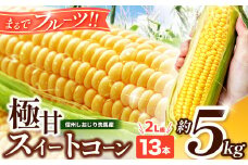 【2025年分先行予約】極甘スイートコーン 5㎏ 2L級 13本（高原野菜の名産地　信州しおじり洗馬産）【8月上旬頃～順次発送予定】| 野菜 やさい とうもろこし スイートコーン 長野県 塩尻市