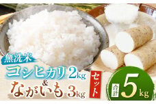 長野県産 コシヒカリ 2kg （無洗米） 長芋 3kg のセット |  コシヒカリ お米 無洗米 ふっくら ご飯 朝ごはん 長芋 ながいも 山芋 やまいも いも 自然薯 大和芋 とろろ とろろごはん とろろそば セット 人気 長野県 塩尻市
