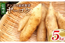 信州しおじり産 ヤーコン 5kg | やーこん ヤーコン フラクトオリゴ糖 イヌリン アンデス原産野菜 塩尻市 長野県 信州 