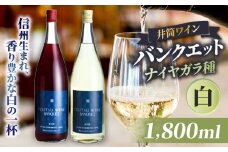 井筒ワイン バンクエット（白）1800ml | ワイン 白 バンクエット 井筒ワイン 長野県 塩尻市