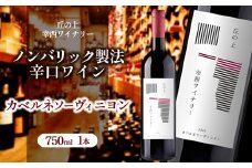 丘の上 幸西ワイナリー カベルネソーヴィニヨン2024 | ワイン 赤 お酒 丘の上 幸西ワイナリー ノンバリック 長野県 塩尻市