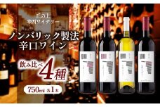 丘の上 幸西ワイナリー 2024 4種飲み比べセット | ワイン セット お酒 丘の上 幸西ワイナリー ノンバリック 長野県 塩尻市
