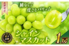 【2025年 先行予約】 シャインマスカット１房【10月中旬頃より発送予定】 | シャイン ぶどう 葡萄 ブドウ くだもの 果物 フルーツ マスカット しゃいん ますかっと 先行 先行予約 長野県 塩尻市