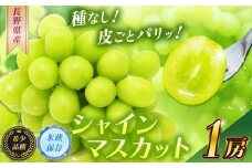 【2025年 先行予約】 【甘みが増す完熟 氷蔵保存】シャインマスカット１房【11月上旬頃より発送予定】| シャイン ぶどう 葡萄 ブドウ くだもの 果物 フルーツ マスカット 氷蔵保存 先行 先行予約 長野県 塩尻市