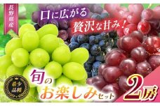 【2025年 先行予約】【希少品種・お楽しみセット】シャインマスカット１房と旬の完熟１房詰め合わせ【10月中旬頃より発送予定】  | シャイン ぶどう 葡萄 くだもの 果物 フルーツ マスカット マイハート クイーンルージュ® BKシードレス 富士の輝き 先行 希少 先行予約 長野県 塩尻市