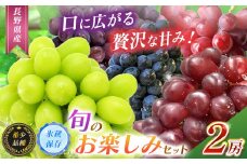 【2025年 先行予約】【希少品種・お楽しみセット】【甘みが増す完熟 氷蔵保存】シャインマスカット１房と旬の完熟１房詰め合わせ【11月上旬頃より順次発送予定】 | シャイン ぶどう 葡萄 くだもの 果物 フルーツ マスカット マイハート クイーンルージュ® BKシードレス 富士の輝き 先行 先行予約 氷蔵保存 長野県 塩尻市