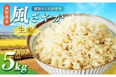 【令和7年産先行予約】【風情ある希少品】 風さやか（信州推奨米） 稲架けした胚芽米 5kg 120個限定2人暮らし 約１ヶ月分 | 米 生米 きまい お米 胚芽米 ごはん ご飯 稲架け 風さやか 2人暮らし 限定 希少 長野県 塩尻市