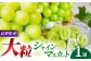 一口で広がる、濃厚な甘さと食感