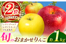 【先行予約】旬のおまかせりんご 約1kg(3～5玉)【9月中旬頃～発送予定】 シナノゴールド・シナノスイート・ぐんま名月から旬のりんごをお届け！ | 果物 くだもの フルーツ 林檎 りんご リンゴ シナノゴールド シナノスイート ぐんま名月 おまかせ  長野県 塩尻市
