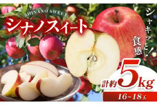 【先行予約】《寄附金額改定しました！》信州産 絶品りんご！ シナノスイート 約5kg （16 ～ 18 玉 ）【9月中旬頃～発送予定】| 果物 くだもの フルーツ 林檎 りんご リンゴ シナノスイート 長野県 塩尻市