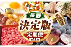 長野県 定期便 【 決定版  】塩尻うまいもの巡礼便（12回） 塩尻のぶどう そば 山賊焼 逸品 | マカロン グルメ ぶどう シャインマスカット はちみつ 和牛 そば おやき 天然水 ジュース 特産品 定期 長野県 塩尻市 信州 まるごと 毎月 お届け 便利