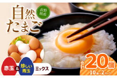 しばた養鶏のたまご 10玉×2パック | 卵 たまご しばた養鶏 生卵 長野県 塩尻市
