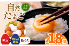 しばた養鶏のたまご 6玉×3パック | 卵 たまご しばた養鶏 生卵 長野県 塩尻市