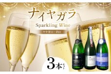 ナイヤガラスパークリング 3本セット | お酒 酒 おさけ ワイン わいん 長野県 塩尻市