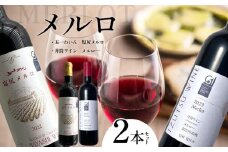 メルロ 2本セット（ 五一わいん 井筒ワイン ） | お酒 酒 おさけ ワイン わいん 長野県 塩尻市