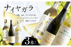 ナイヤガラやや甘口・中口・辛口 3本セット | お酒 酒 おさけ ワイン わいん 長野県 塩尻市