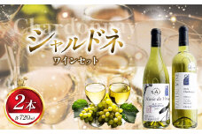 シャルドネ 2本セット（ 井筒ワイン・アルプス ） | お酒 酒 おさけ アルコール ワイン わいん 長野県 塩尻市